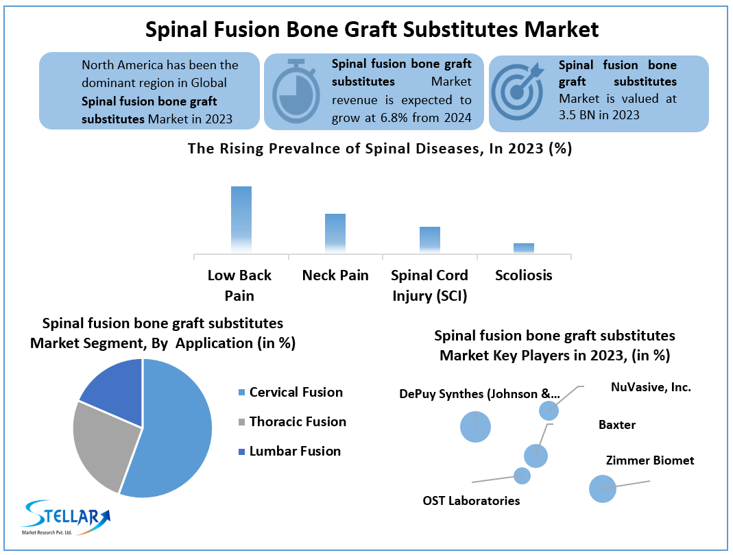 Spinal Fusion Bone Graft Substitutes Market
