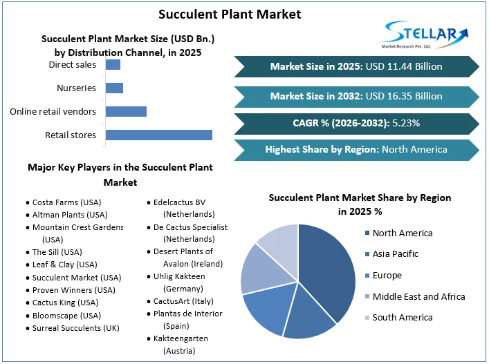 Succulent Plant Market overview