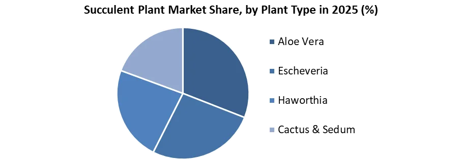 Succulent Plant Market share by plant type