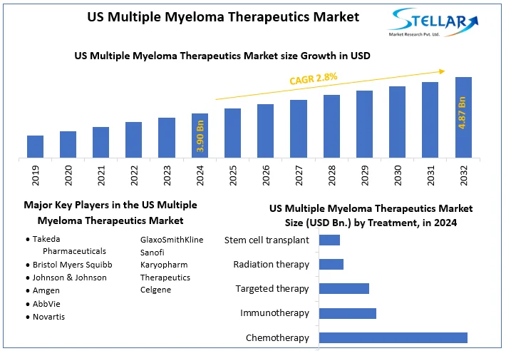 US Multiple Myeloma Therapeutics Market snapshot