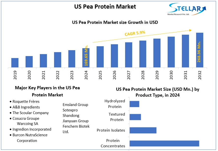 US Pea Protein Market snapshot