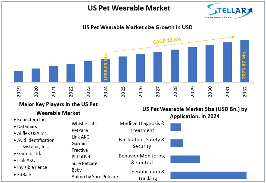 US Pet Wearable Market snapshot