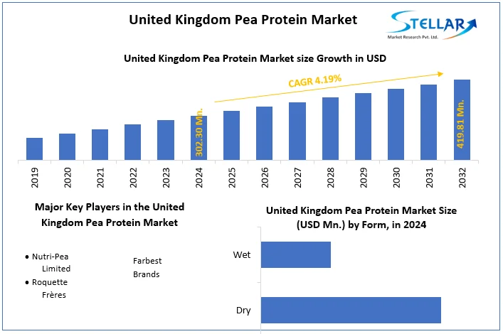 United Kingdom Pea Protein Market snapshot