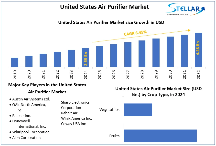 United States Air Purifier Market snapshot