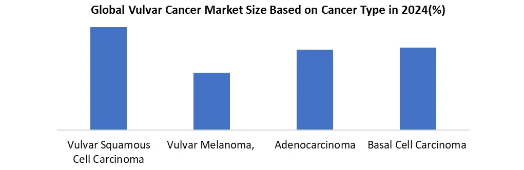 Vulvar Cancer Share by Type