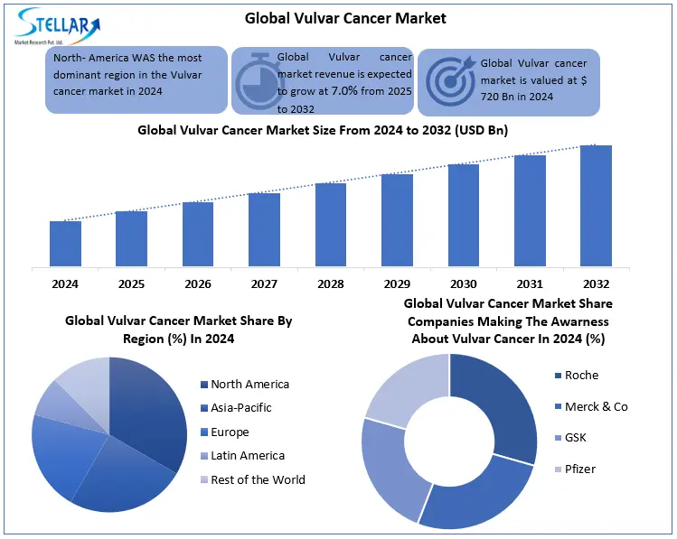 Vulvar Cancer snapshot